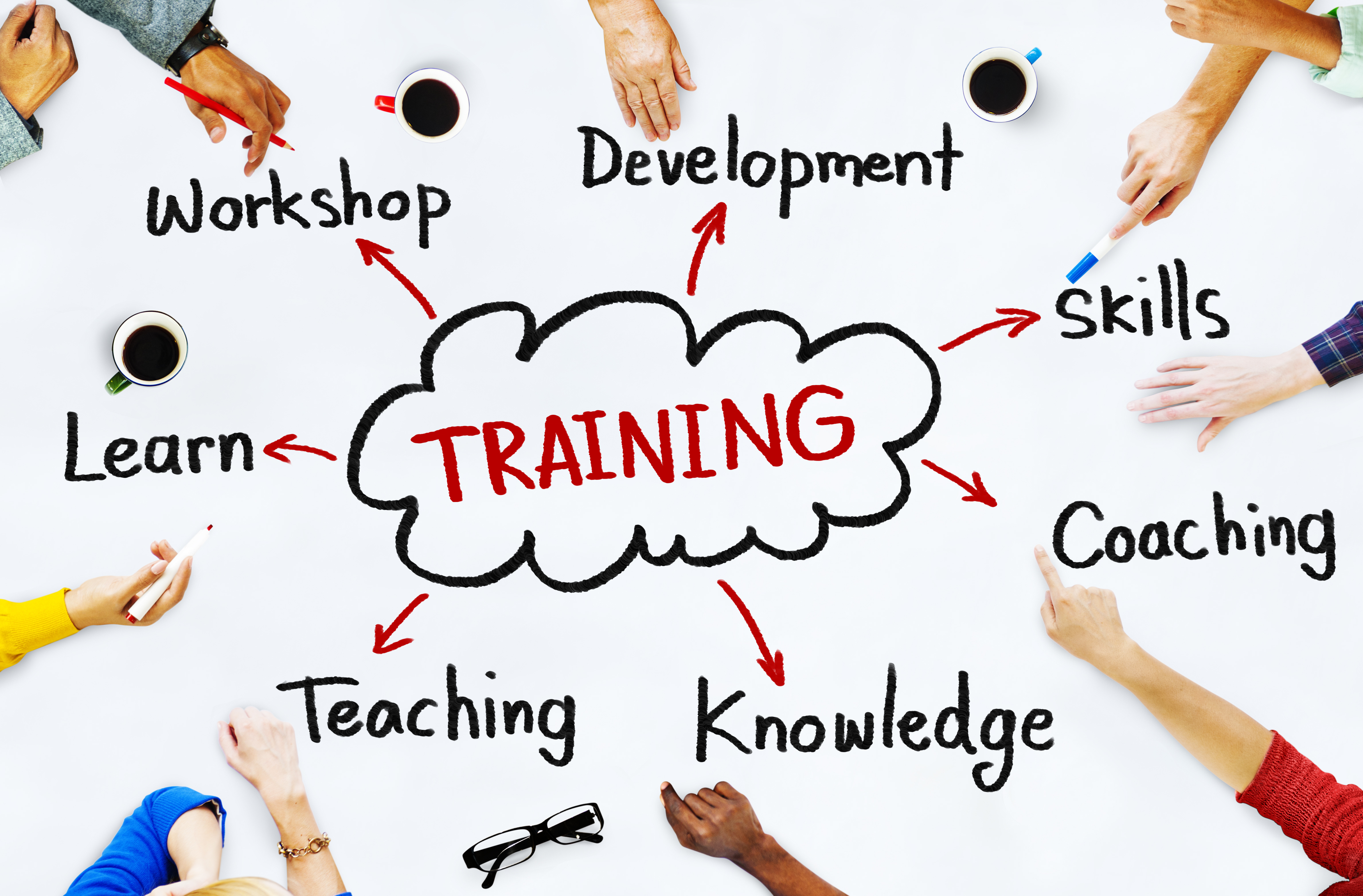 How the Right Sales Training Can Elevate Your Success